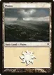 Plains #39