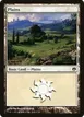 Plains #41