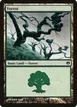 Forest #78