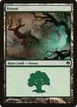 Forest #79