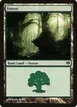 Forest #80