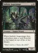 Sadistic Augermage #52