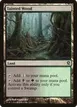 Tainted Wood #78