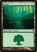 Forest #84