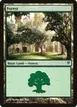 Forest #85