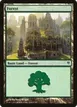 Forest #87