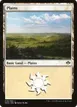Plains #38