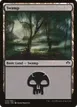 Swamp #39