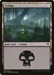 Swamp #40