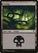 Swamp #41