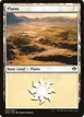 Plains #81