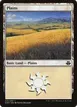 Plains #31