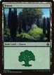 Forest #63