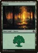 Forest #64
