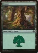 Forest #65