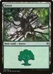 Forest #40