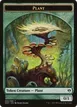 Plant #80