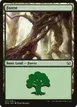Forest #31