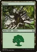 Forest #34
