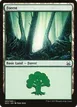 Forest #63