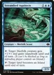 Streambed Aquitects #18