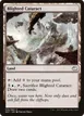 Blighted Cataract #26