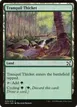 Tranquil Thicket #29