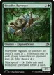 Loxodon Surveyor #167