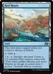 Reef Roads #259