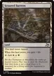 Scoured Barrens #263
