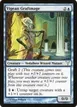 Vigean Graftmage #35