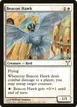 Beacon Hawk #3
