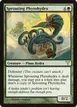 Sprouting Phytohydra #95