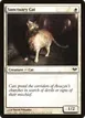 Sanctuary Cat #19
