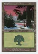 Forest #48