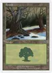 Forest #49