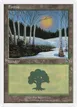 Forest #50
