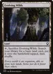 Evolving Wilds #208