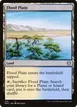 Flood Plain #210