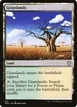 Grasslands #214