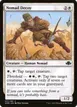 Nomad Decoy #17