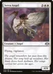 Serra Angel #25