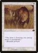 Savannah Lions #270
