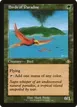 Birds of Paradise #336