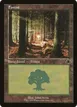 Forest #410