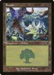 Forest #411