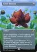Lotus Blossom #451