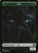 Cat #8