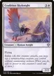 Coalition Skyknight #14