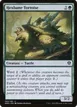 Hexbane Tortoise #166